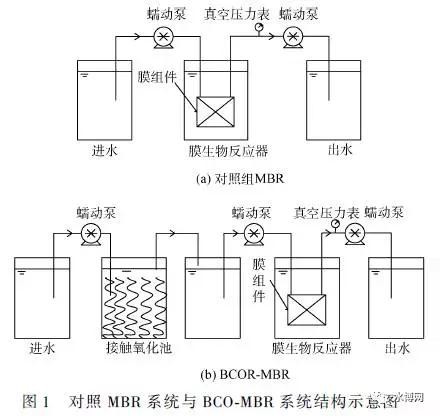 對照MBR系統與BCO-MBR系統結構示意圖