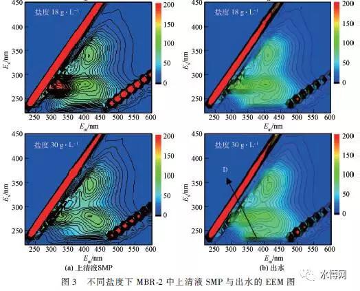 不同鹽度下MBR-2 上清液SMP 與出水的3DEEM圖